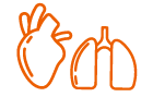 hl
