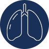 lung
